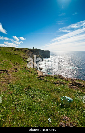 La coquille à Marwick Head, Orkney - Réserve naturelle RSPB Banque D'Images