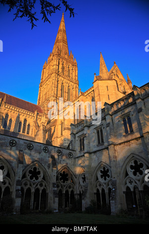 Cloître de la cathédrale de Salisbury spire Banque D'Images