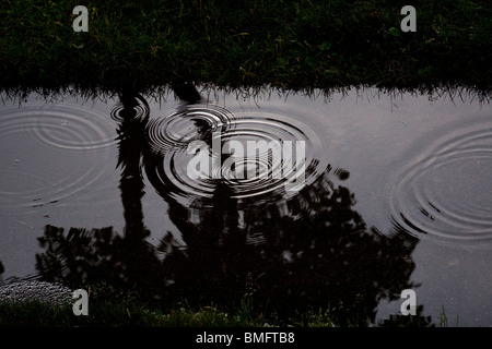 Les gouttes de pluie tombant sur une flaque d'eau au crépuscule. Banque D'Images