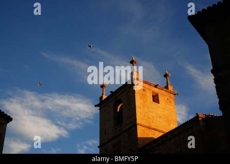 Concatedral de Santa Maria. Caceres. L'Estrémadure, Espagne. Concathedral de Santa Maria. Caceres. Région de l'Estrémadure, Espagne Banque D'Images