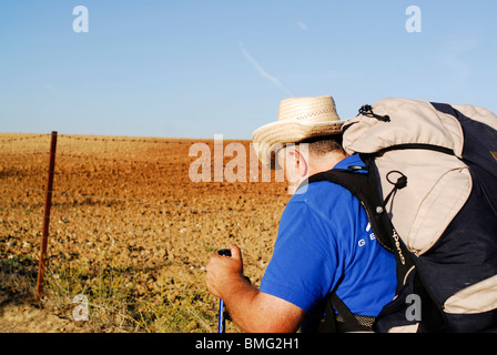 La Marche des pèlerins de l'argent façon Caceres province. Région de l'Estrémadure, Espagne Banque D'Images