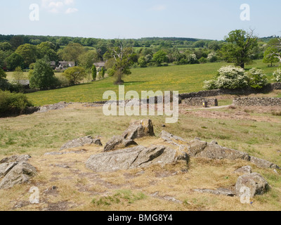 Bradgate Country Park dans le Leicestershire, Angleterre, Royaume-Uni Banque D'Images