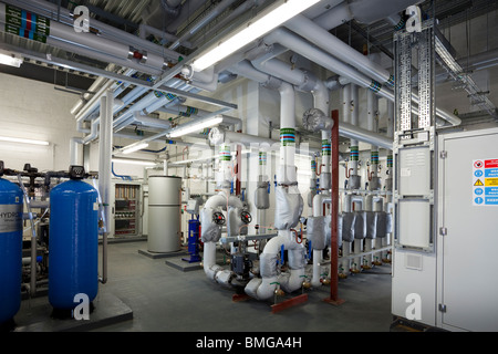 Plante d'intérieur chambre à l'aide pour la réhabilitation des héros complexes. Banque D'Images