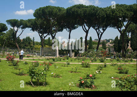 Roseraie municipale, Rome, Italie Banque D'Images