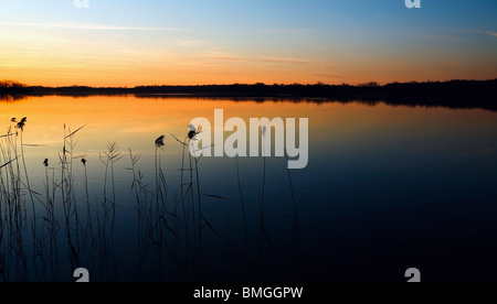 Willmar, Minnesota, United States of America ; coucher de soleil sur un lac Banque D'Images