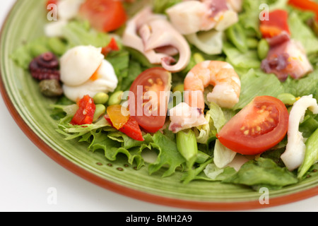 Frais sain Style méditerranéenne Salade de fruits de mer mixtes avec aucun peuple Banque D'Images