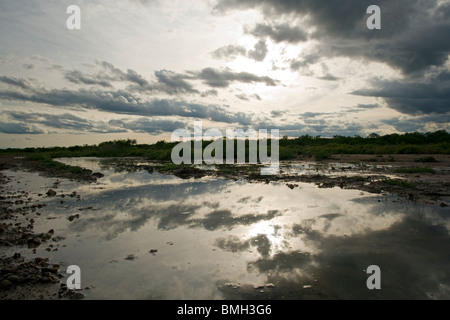 Coucher du soleil à Los Novios - Ranch près de Cotulla, Texas USA Banque D'Images