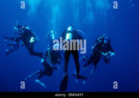 Les plongeurs sous l'eau, près de Darwins Arch. Galapagos. La photographie sous-marine. Les amateurs de plongée sous-marine avec des caméras. Banque D'Images