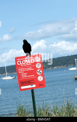 Oiseau noir se dresse au sommet du panneau d'avertissement à la plage Banque D'Images