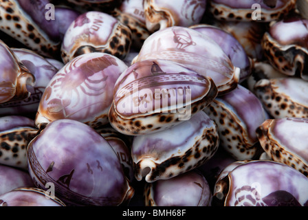 Souvenirs en vente au front de mer de Brighton, 2010. Banque D'Images