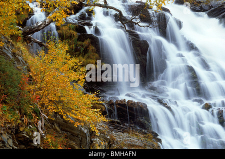 Ruisseau de montagne descendant en étapes rocheuses passé couleurs d'automne dans l'Arctique de la Suède Banque D'Images