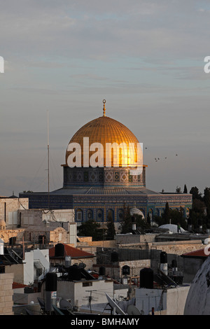 Israël, Jérusalem, vieille ville, Dôme du Rocher Banque D'Images