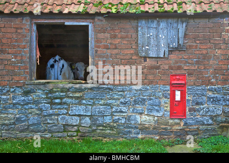 Une étable avec une boîte aux lettres par le côté de la rivière Severn dans le Gloucestershire UK Banque D'Images