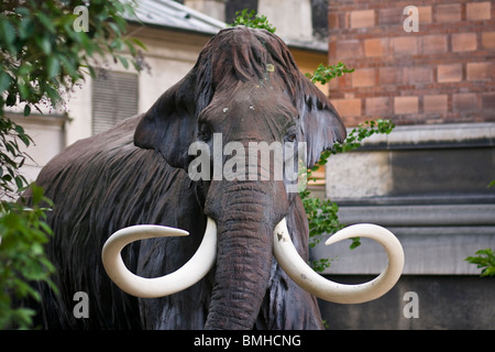 Une sculpture dans mammuth du Jardin des Plantes, Paris, France Banque D'Images