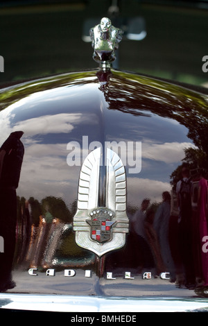 Une Cadillac badge sur le capot avant d'une voiture Cadillac américaine Banque D'Images