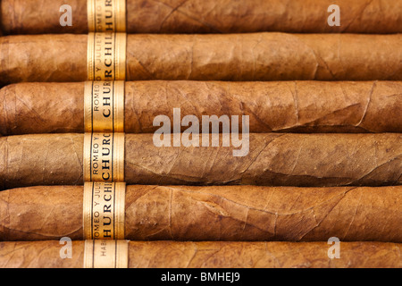 Cigares Cubains Romeo y Julieta, Churchill size Banque D'Images