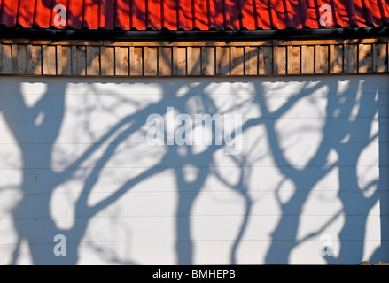 Les ombres des arbres sur une porte de garage peint en blanc. Banque D'Images