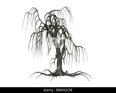 Illustration d'un arbre isolé, creepy contre fond blanc Banque D'Images