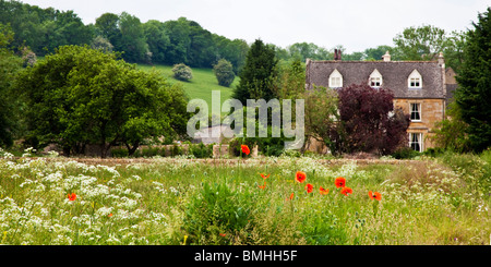 Cotswold country house avec champ de coquelicots et cow parsley. Un paysage typique de l'été Anglais en juin, Gloucestershire, Royaume-Uni Banque D'Images