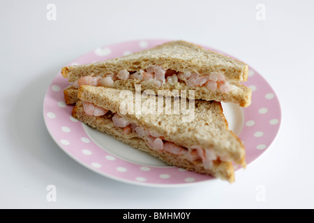 Sandwich à la crevette dans le pain d'avoine Banque D'Images