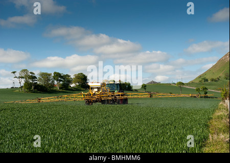 La pulvérisation du tracteur le blé d'hiver au printemps. North Berwick, Ecosse Banque D'Images