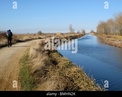 Pèlerin. Chanel Castille près de Fromista. Tierra de Campos. Palencia. L'Espagne. Chemin de Saint Jacques. Banque D'Images