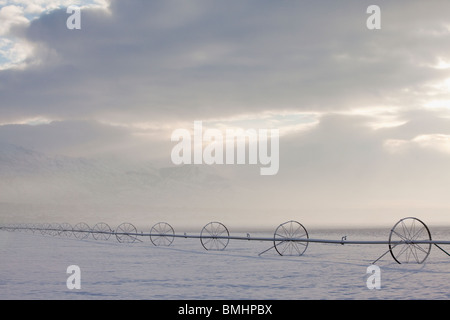 Matériel d'irrigation sur un terrain couvert de neige Banque D'Images