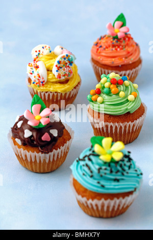 Assorted cupcakes Recette disponible Banque D'Images