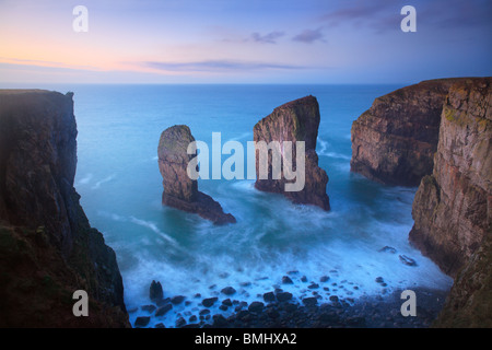 Les piles d'Elegug juste avant l'aube d'un matin d'hiver le long de la côte du Pembrokeshire au Pays de Galles Banque D'Images