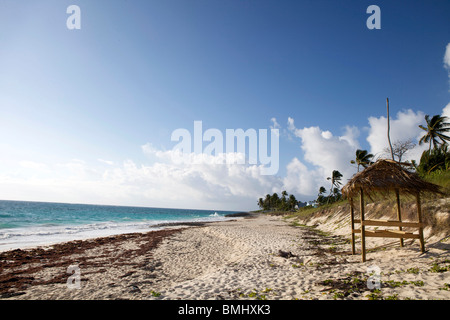 Une belle plage ensoleillée, mais le vent avec une hutte d'herbe et de palmiers sur le coude de Hope Town, Cay dans les Abacos, Bahamas. Banque D'Images