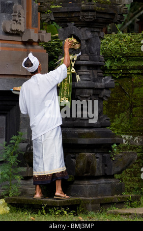 Sur le jour saint de Galungan hindou, un saint homme balinais laisse une offrande à la temple local en Sideman, Bali. Banque D'Images