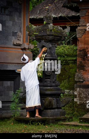 Sur le jour saint de Galungan hindou, un saint homme balinais laisse une offrande à la temple local en Sideman, Bali. Banque D'Images