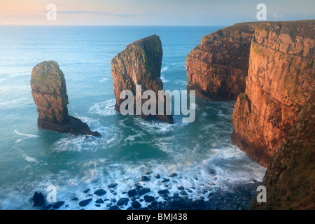 Les piles d'Elegug à l'aube d'un matin d'hiver le long de la côte du Pembrokeshire au Pays de Galles Banque D'Images