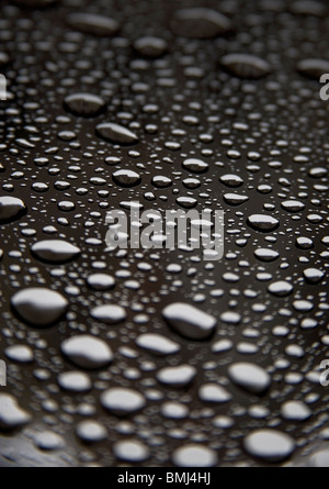 Gouttes de rosée Banque D'Images