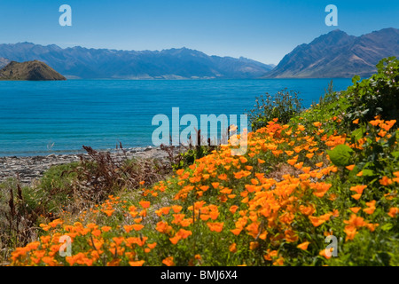 Une vue sur le lac Hawea, île du Sud, Nouvelle-Zélande. Banque D'Images