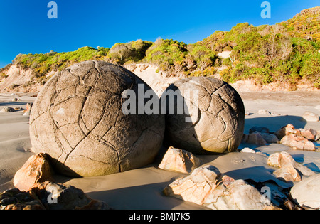 Moeraki Boulders, la Côte d'Otago, île du Sud, Nouvelle-Zélande Banque D'Images