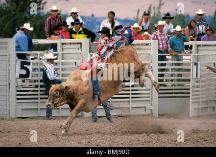 Équitation Cowboy bull à Pi-Ume-Sha traité tous les jours de festivités-Indian Rodeo ; à la réserve indienne de Warm Springs, le centre de l'Oregon. Banque D'Images