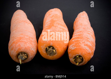 Trois carottes (Daucus carota) Banque D'Images