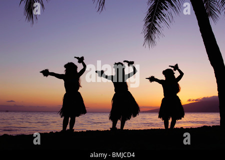 Trois danseurs hula au coucher du soleil encadré par un palmier à Olowalu, Maui, Hawaii, USA. Banque D'Images