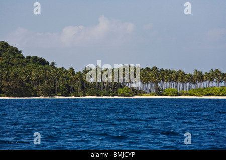 Palmiers sur une île isolée dans le groupe CALAMIAN - PHILIPPINES Banque D'Images