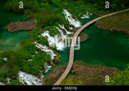 L'eau s'écoule en cascades dans le lac du Parc National de Plitvice (Croatie) Banque D'Images