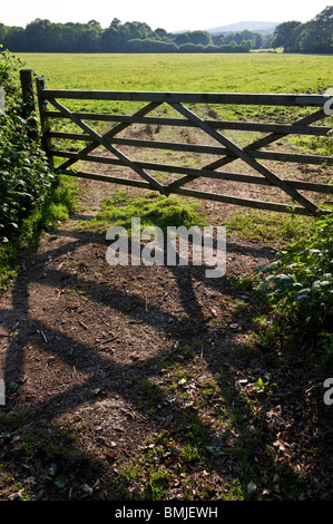 Une silhouette d'exploitation agricole en vue d'un champ agricole et campagne du Surrey dans la distance Banque D'Images