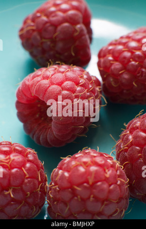 Framboises sur une plaque turquoise, la Suède. Banque D'Images