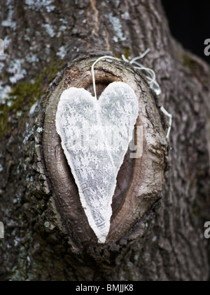 La Scandinavie, la Suède, Stockholm, décoration en forme de coeur sur l'arbre, close-up Banque D'Images