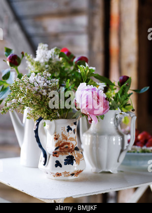 La Scandinavie, la Suède, Ekero, fleurs dans un vase, close-up Banque D'Images
