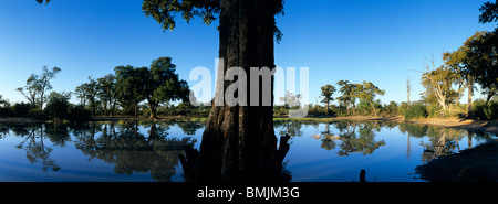 L'Afrique, Botswana, Chobe National Park, rising sun lights l étang à Sarigho Nogatsaa Pan près de matin d'hiver sur Banque D'Images
