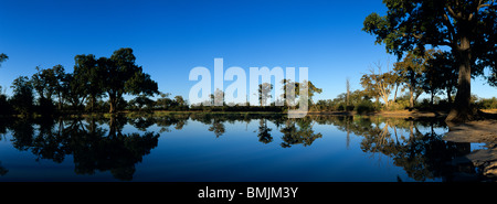 L'Afrique, Botswana, Chobe National Park, rising sun lights l étang à Sarigho Nogatsaa Pan près de matin d'hiver sur Banque D'Images