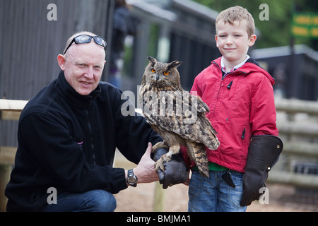 Un grand Européen ou Owl (Bubo bubo) en captivité dans le Lincolnshire, en Angleterre, avec un homme et un jeune garçon Banque D'Images