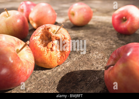 Pomme pourrie Banque D'Images