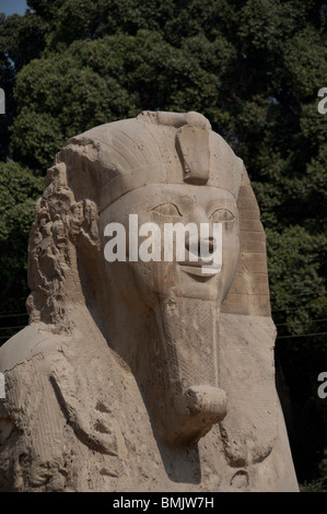 L'Égypte, Memphis (aka Menufer). Sphinx d'albâtre d'Aménophis II. Banque D'Images